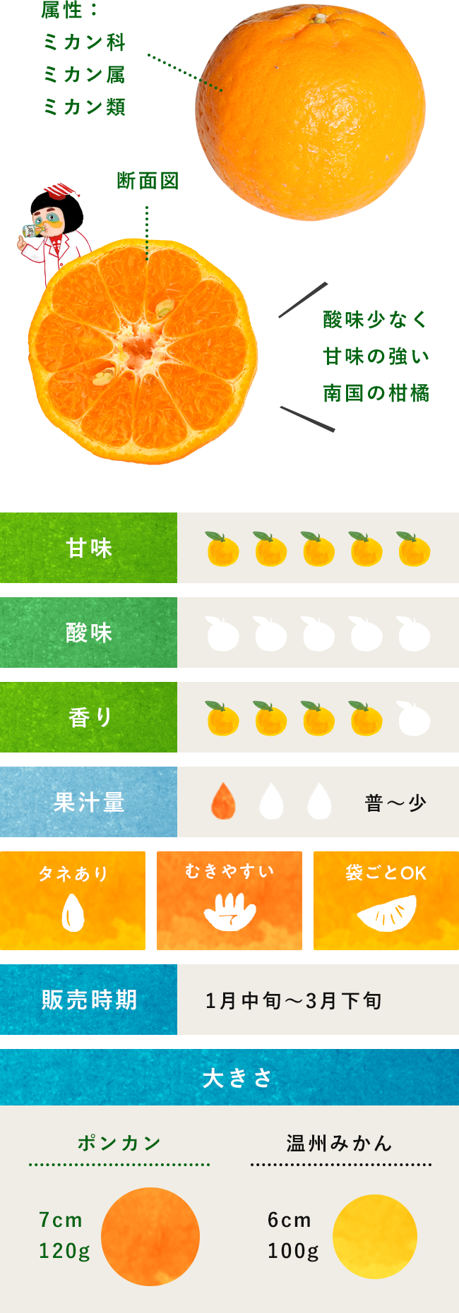 柑橘　ポンカン-