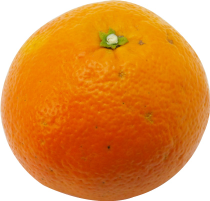橙（だいだい）・柑橘のことなら「みかんな図鑑」｜伊藤農園 | 伊藤