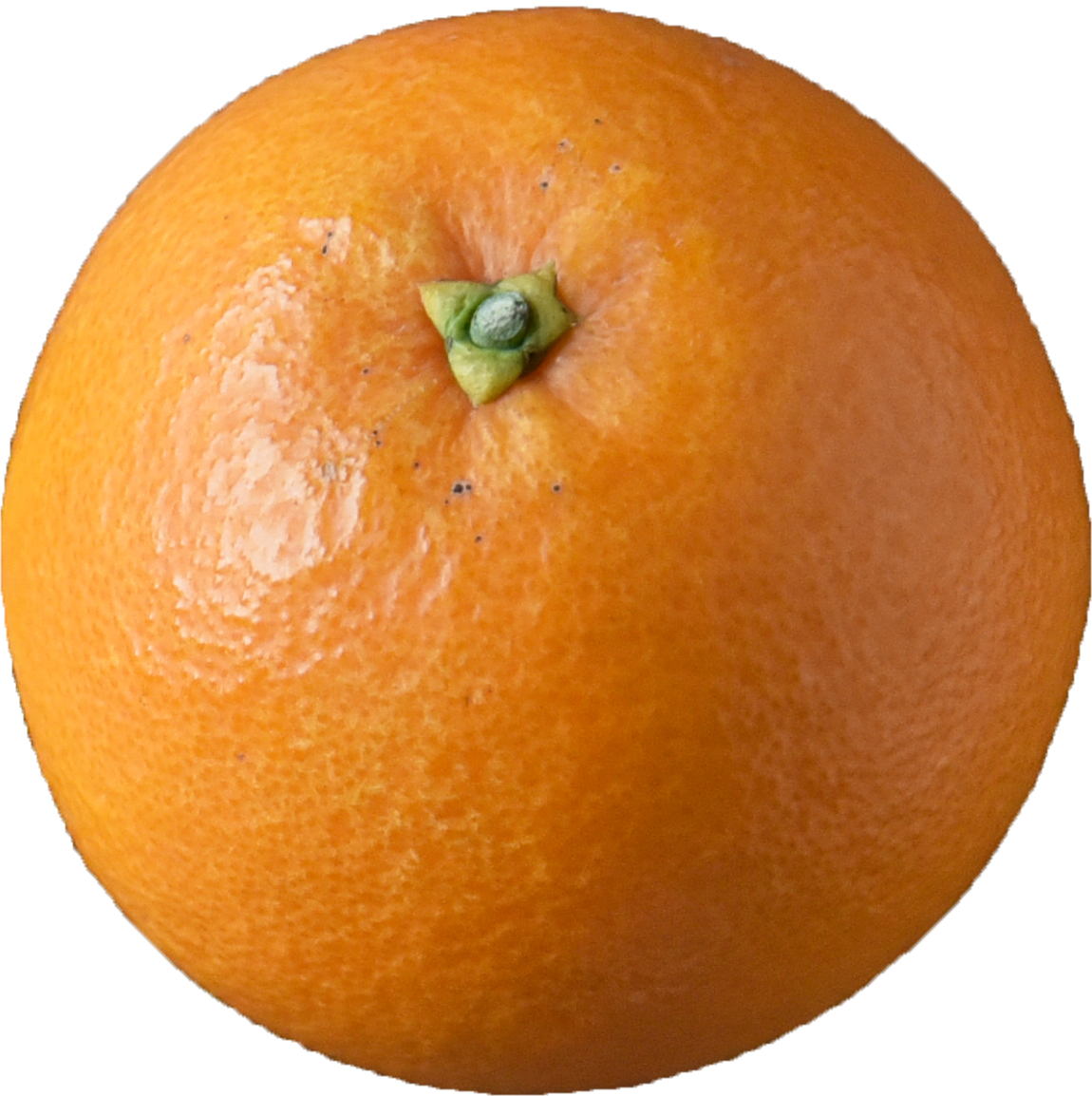 南津海 なつみ 柑橘のことなら みかんな図鑑 伊藤農園 伊藤農園のみかんな図鑑